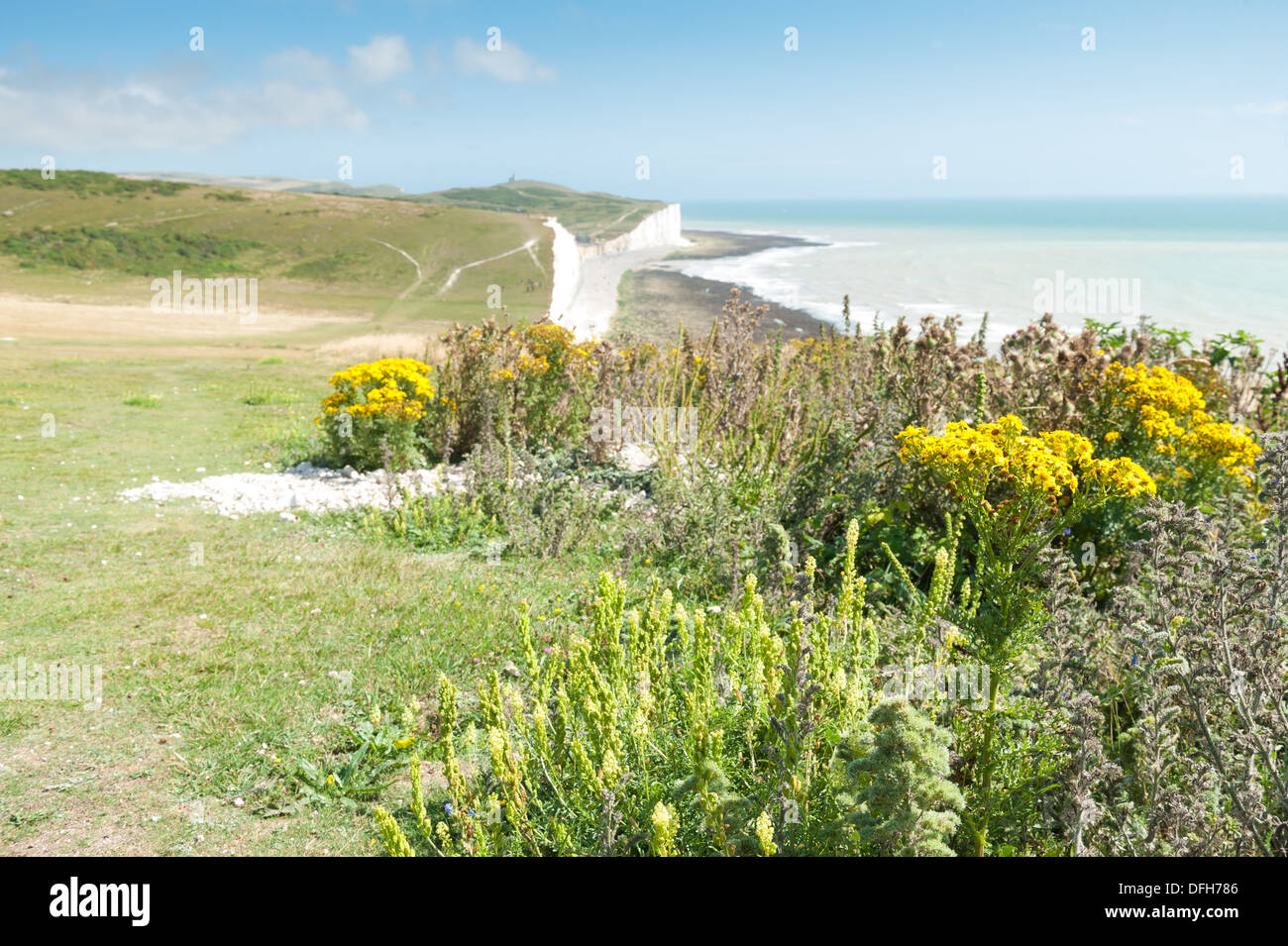 South Downs Forma en verano, nr Eastbourne, Reino Unido Foto de stock