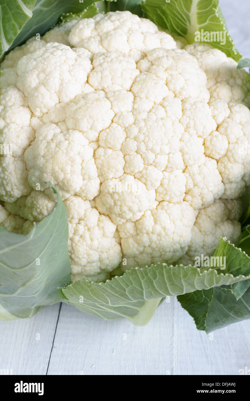 Bonita, limpia la coliflor fresca desde el jardín Foto de stock