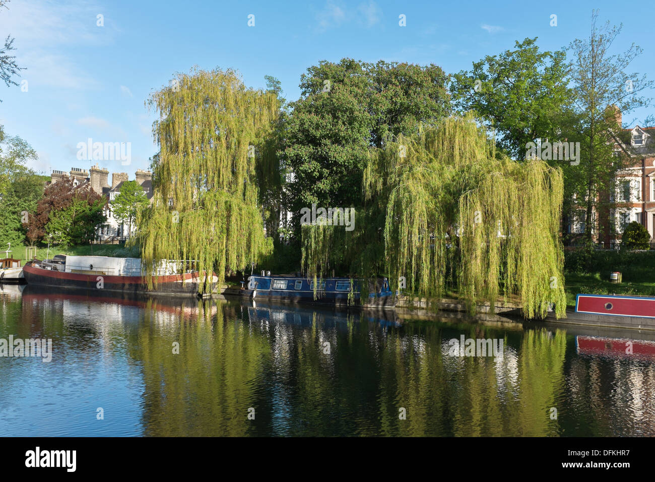 Barcos amarrados a lo largo de la orilla del río Cam, Cambridge, Reino Unido Foto de stock