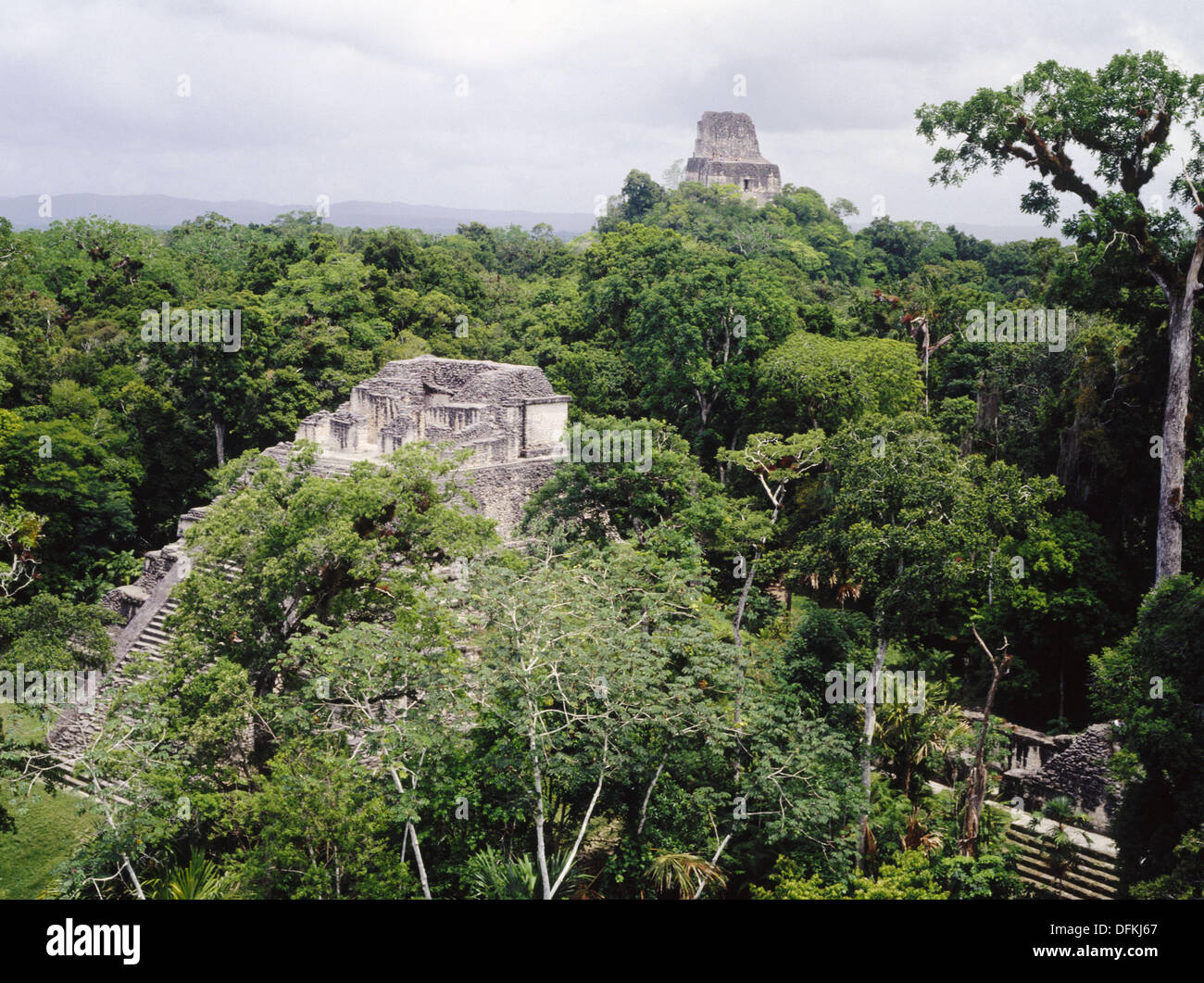 El Templo IV y V del Templo (aka Mundo Perdido) en primer plano, las ruinas mayas de Tikal. Guatemala Foto de stock