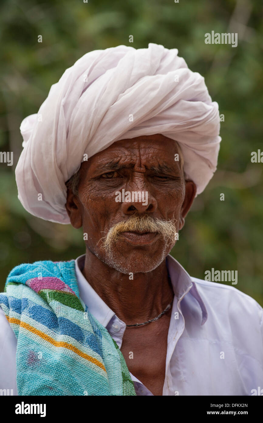 Indian bigote húngaro Foto de stock