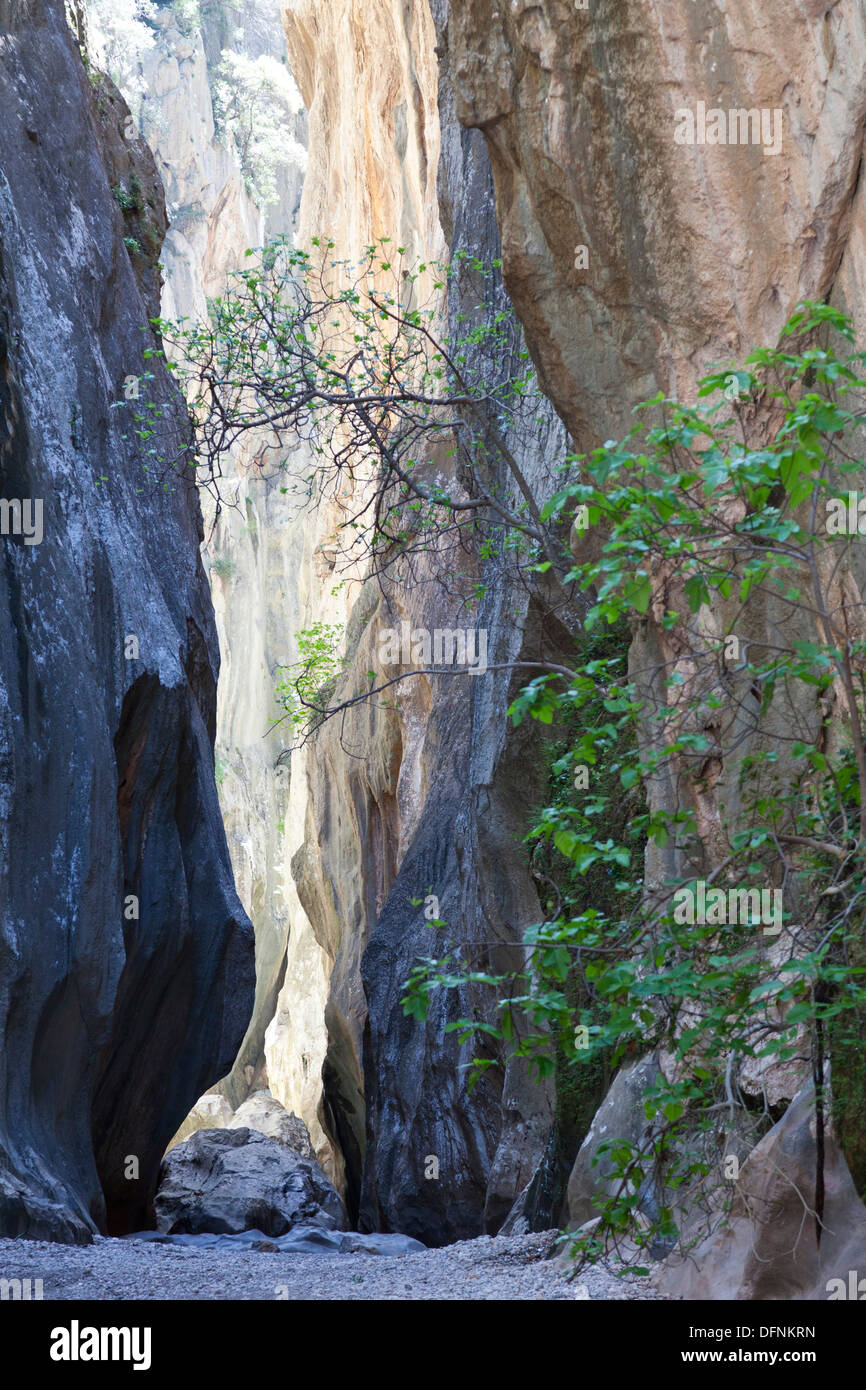 Senderismo, Canyon Torrent de Pareis, Cala de Sa Calobra, Serra de Tramuntana, la UNESCO Weltnaturerbe, Mallorca, España Foto de stock