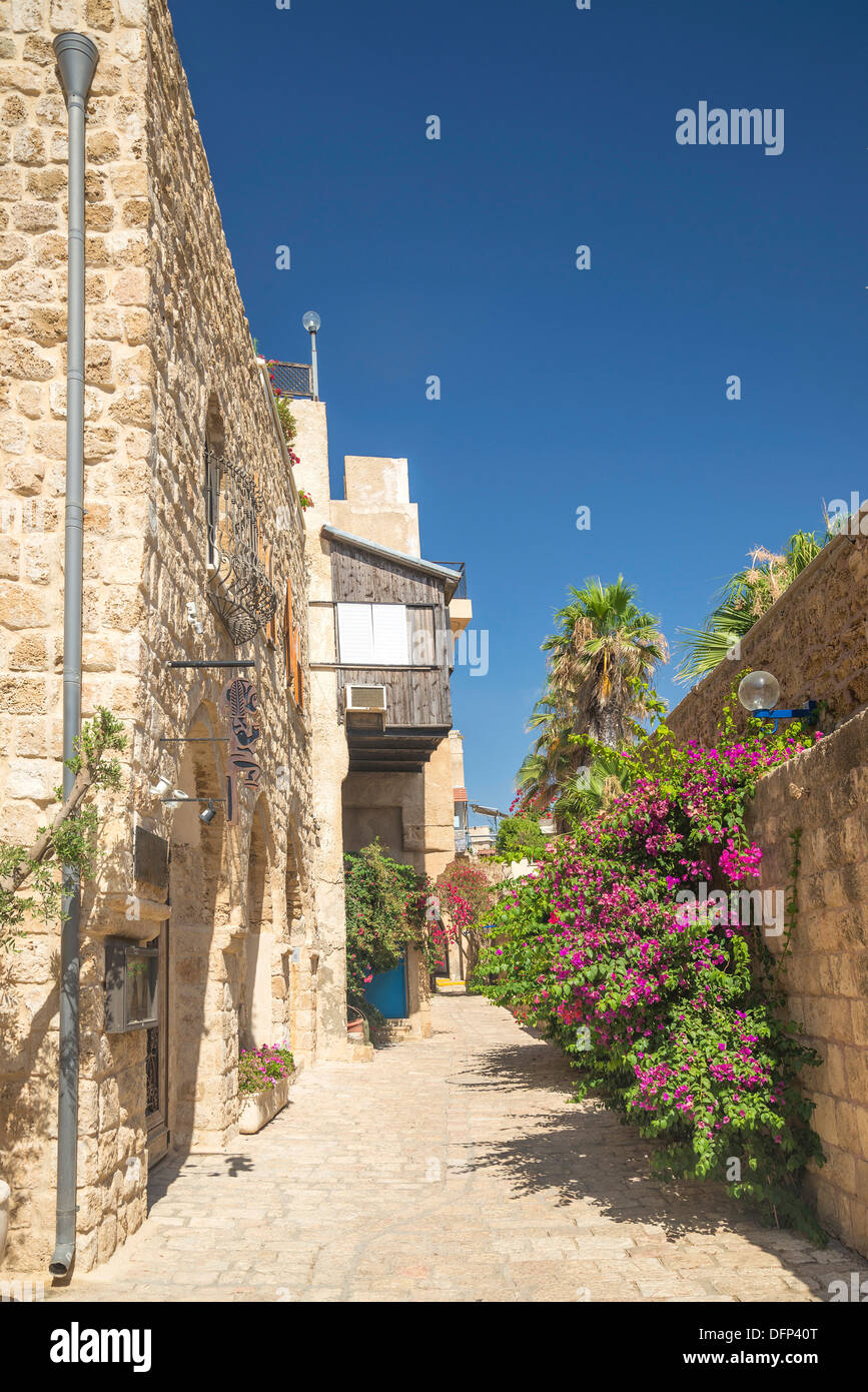 En la calle Jaffa, casco antiguo de la ciudad de Tel Aviv, Israel Foto de stock