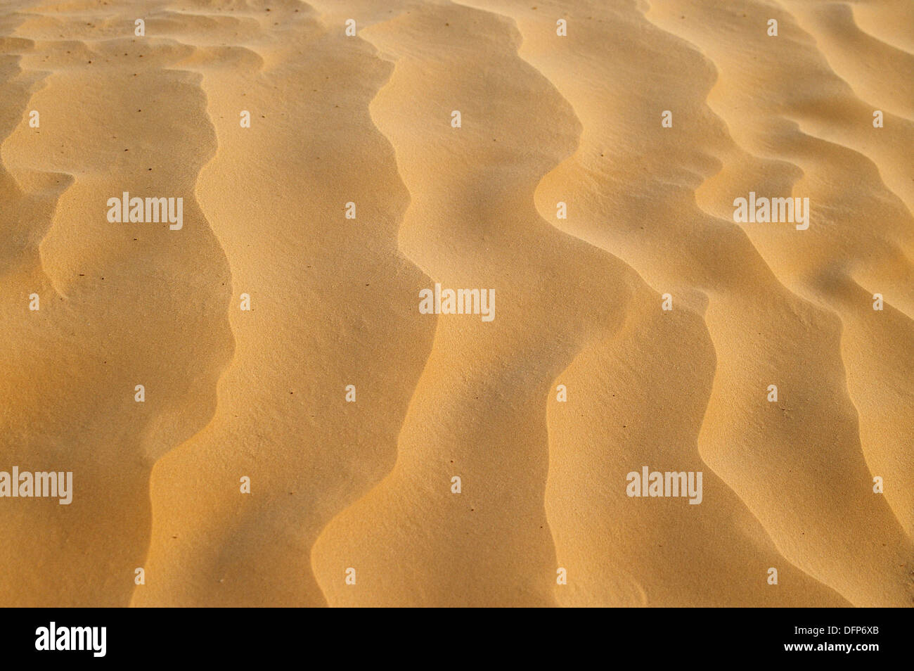 Douz con desierto. Túnez. Foto de stock