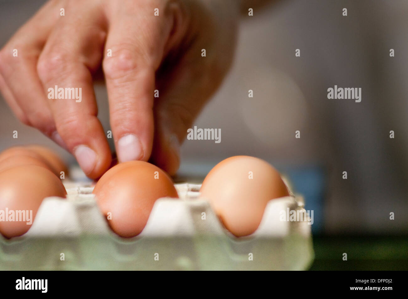 La producción de huevos de cría de aves de corral en Samper de Calanda Teruel Aragón España Europa Foto de stock
