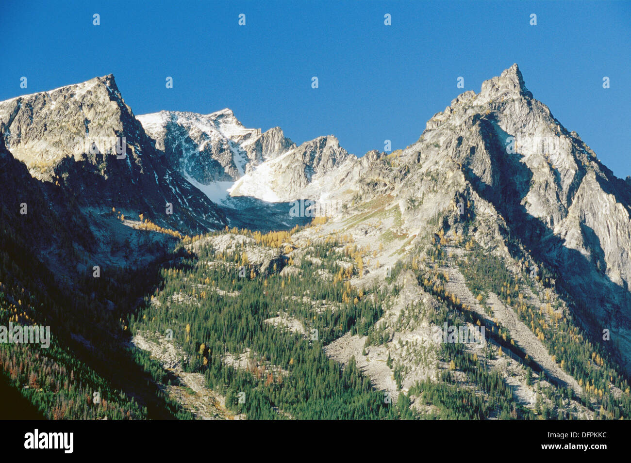 Trapper Pico Y Alerces En Otono Bitterroot Mountains Montana Ee Uu Fotografia De Stock Alamy