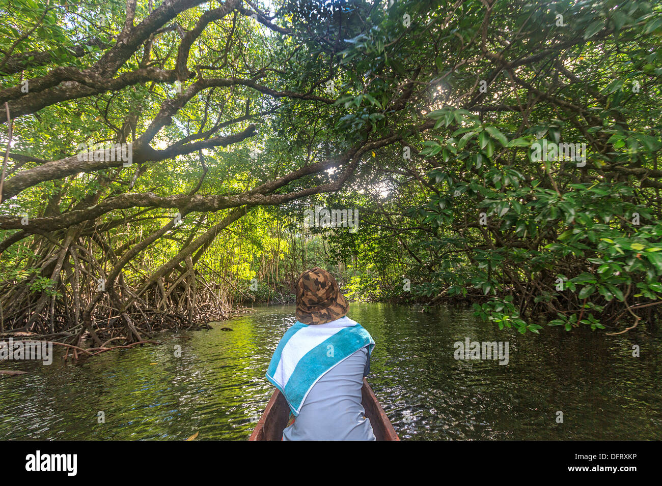 Chico se sienta en proa de canoa Outrigger talladas a mano por un viaje a través de los manglares canales arbolada de Utwe park, Kosrae Foto de stock