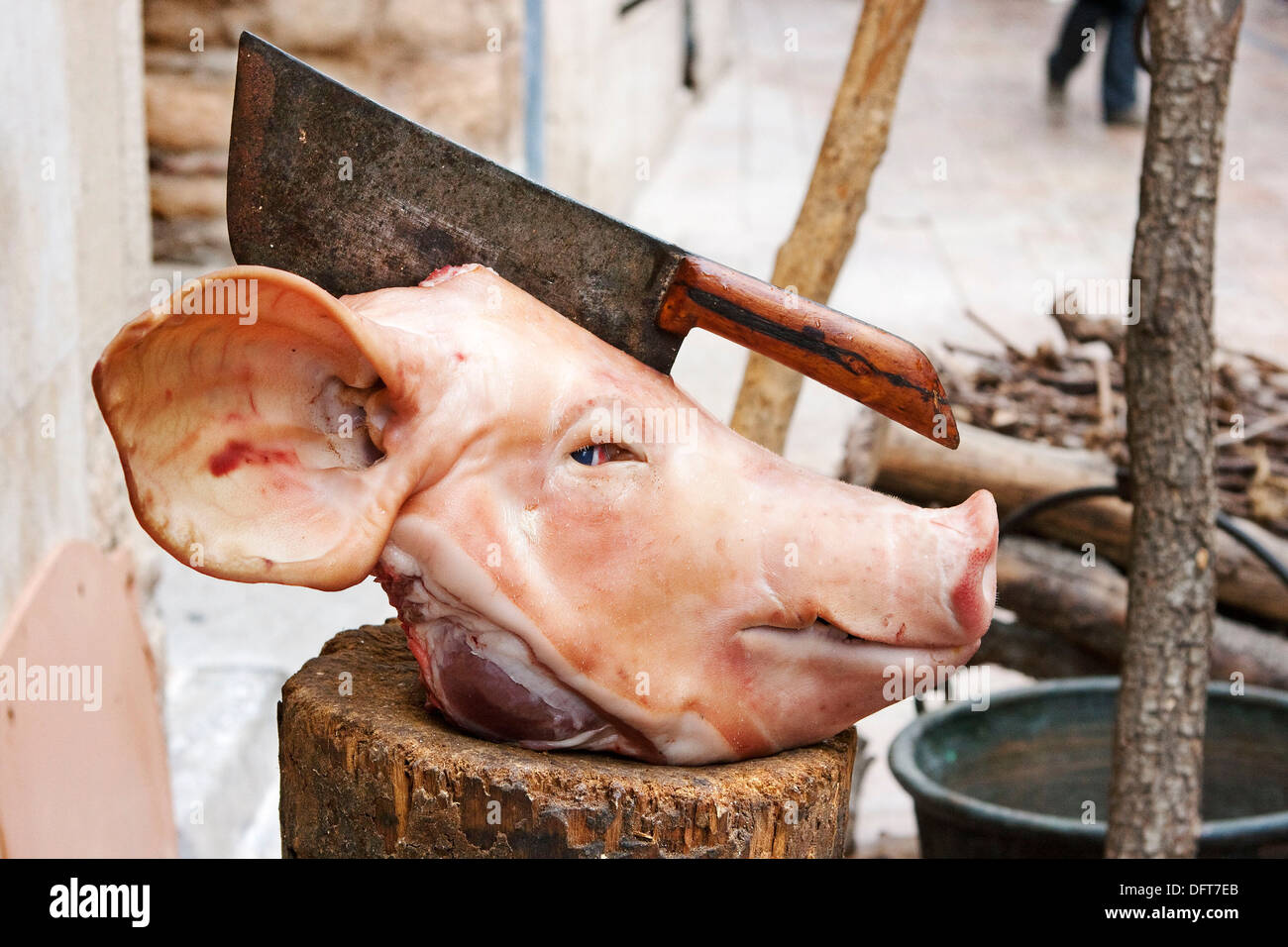 Cabeza de cerdo con un cuchillo de carnicero clavado por la mitad,  Montblanc, Conca de Barcerà, Tarragona, España Fotografía de stock - Alamy