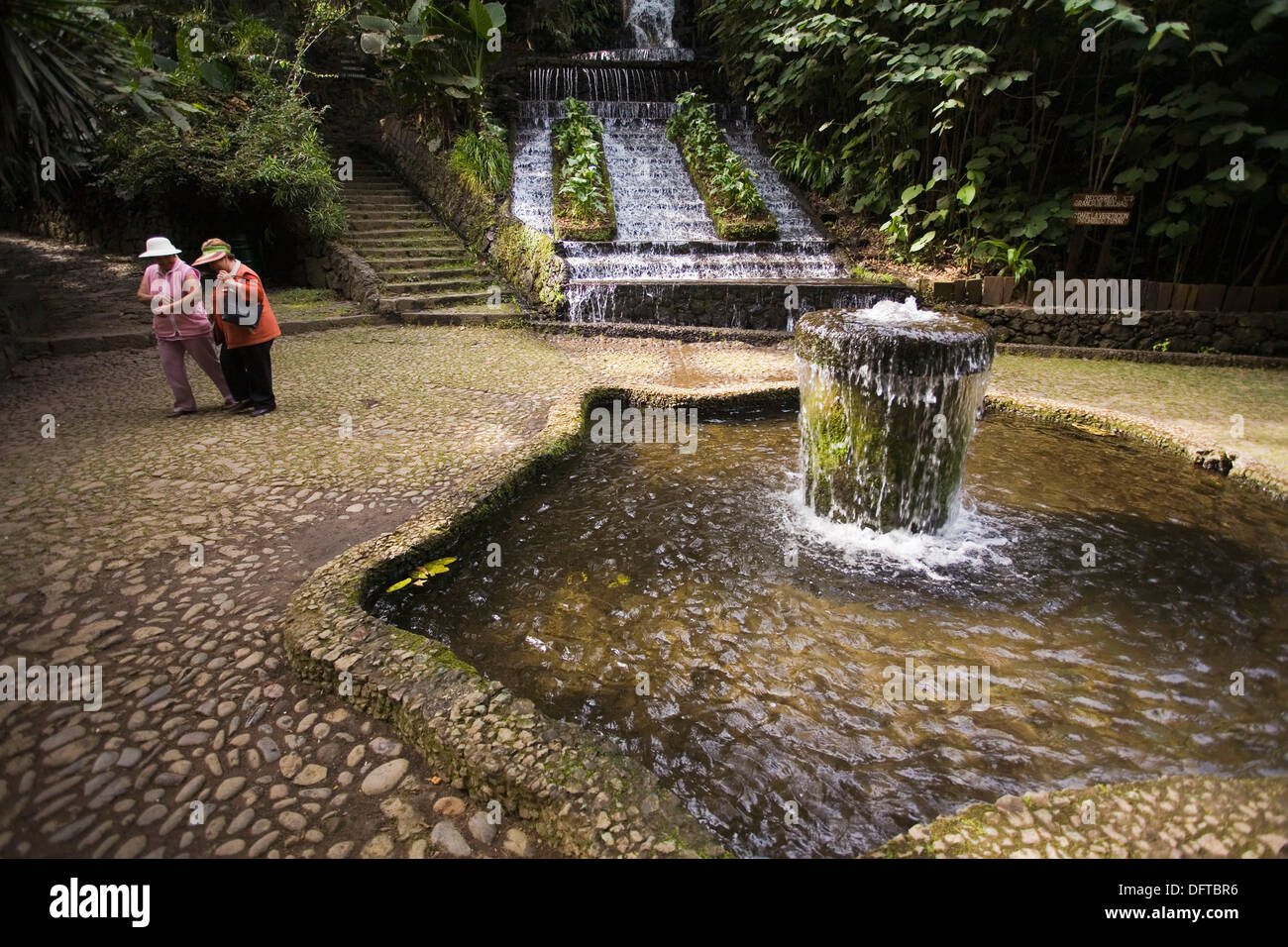 Barranca del Cupatitzio. Parque Nacional. Uruapan. El estado de