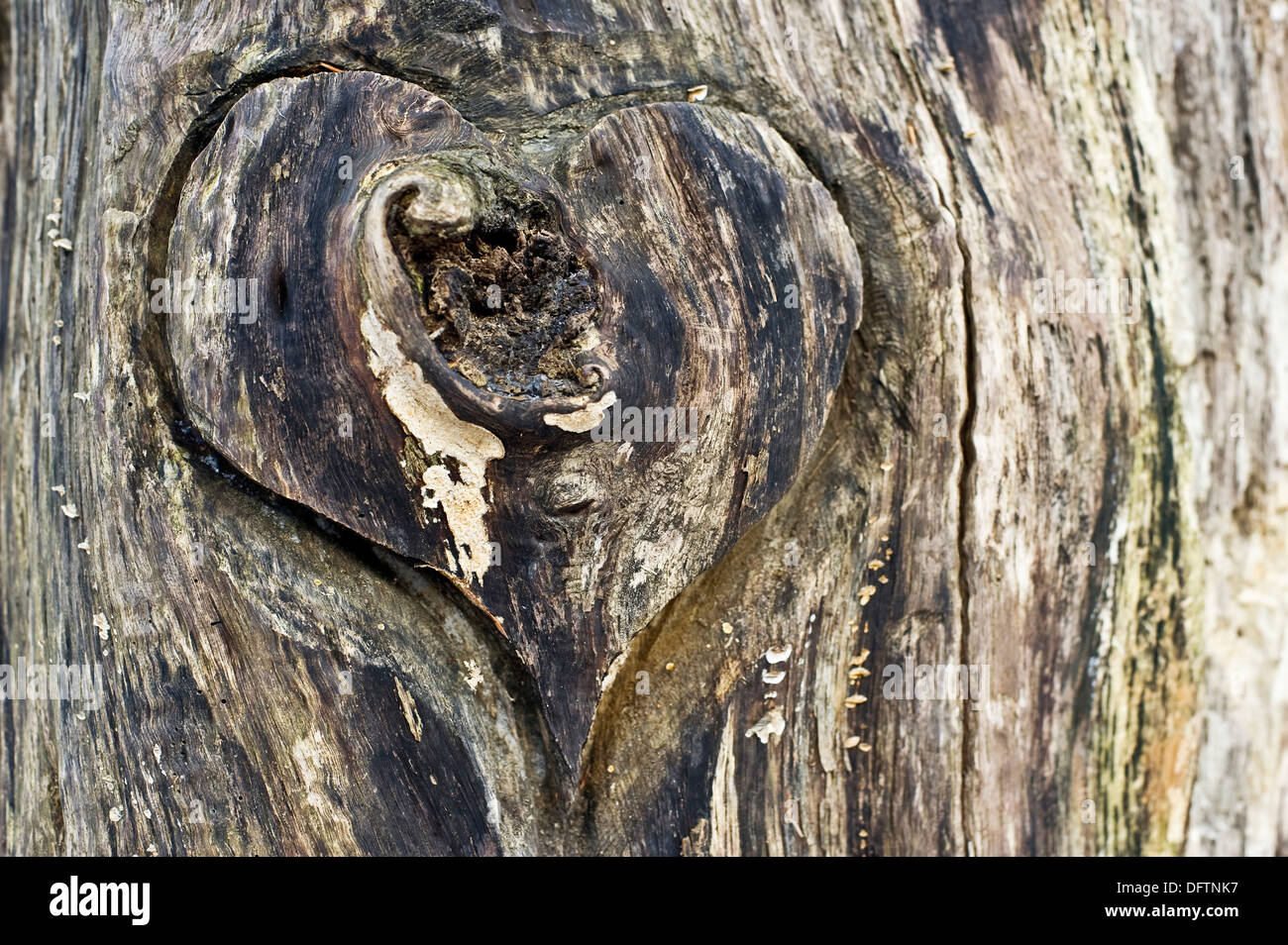 Corazon de madera fotografías e imágenes de alta resolución - Alamy