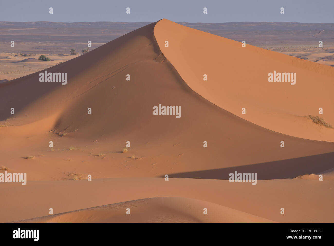 Dunas en la luz de la mañana, el gran mar de arena, el Sahara, región Meknès-Tafilalet, Marruecos Foto de stock