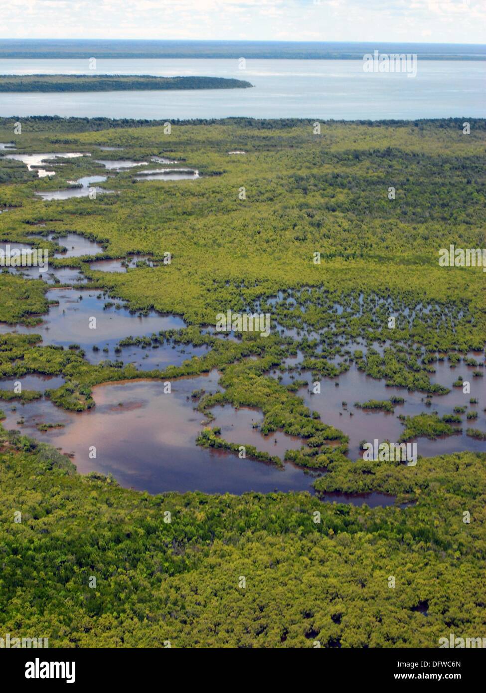 Las pantanosas interior de Boigu Island, una isla de barro de baja