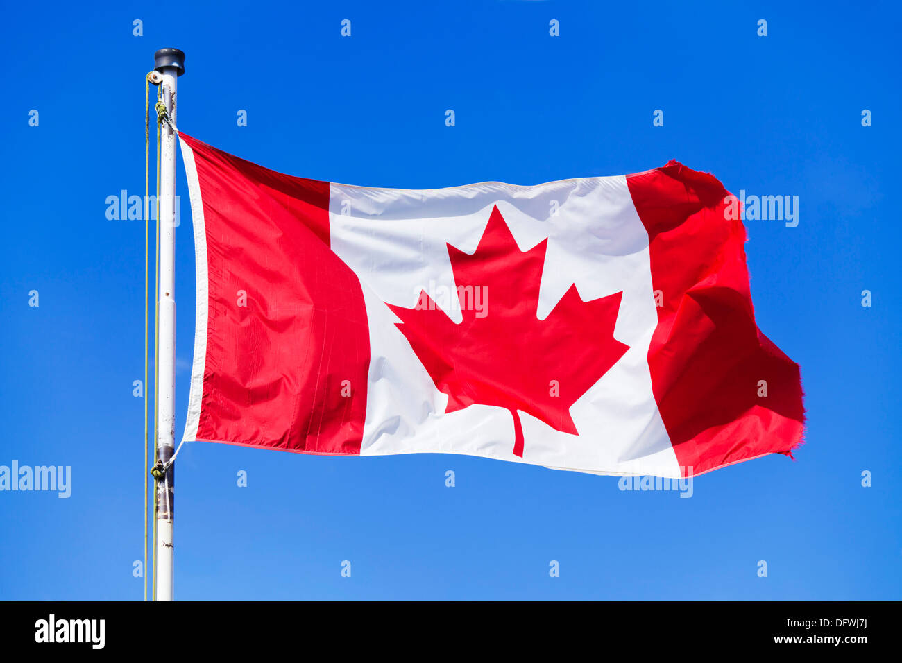 Bandera canadiense en un asta de bandera contra un fondo de cielo azul sin nubes Bandera canadiense de las montañas rocosas de canadá Foto de stock