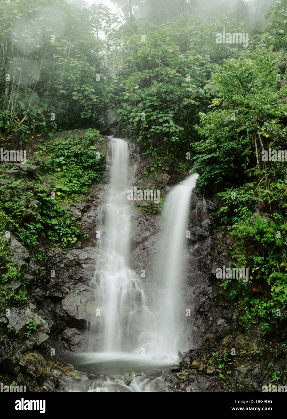 Cascada de Palo Seco. La provincia de Chiriquí, Panamá Fotografía de stock  - Alamy