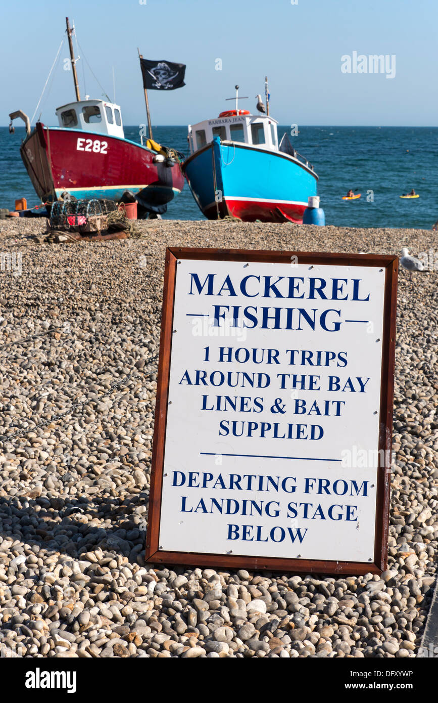 Viajes de pesca caballa anunciados en la playa en cerveza, Devon, Inglaterra, Reino Unido. Foto de stock