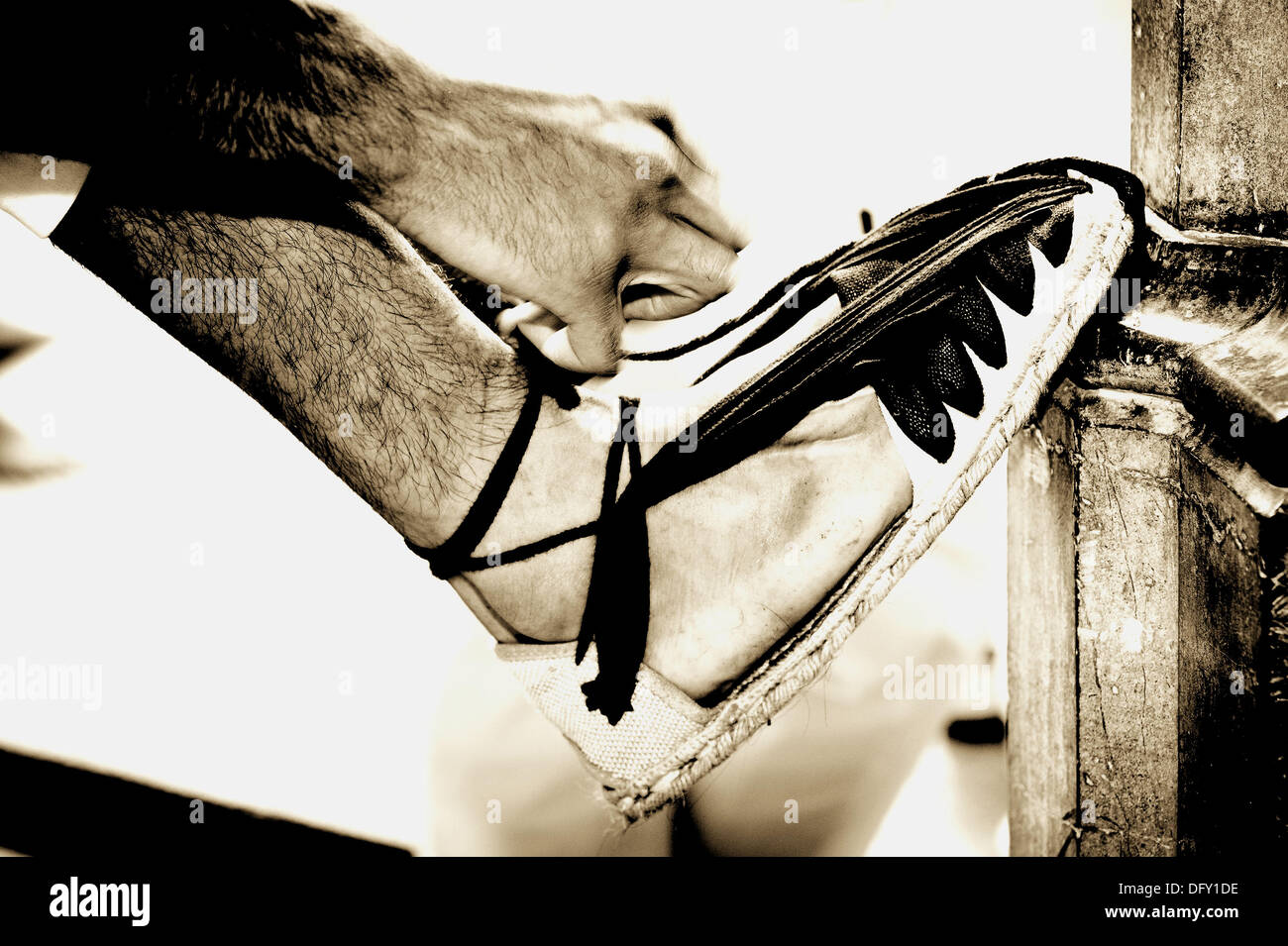 Atándose las alpargatas. Los castellers. El folclore. Catalunya, Imprimación plano Fotografía de stock - Alamy
