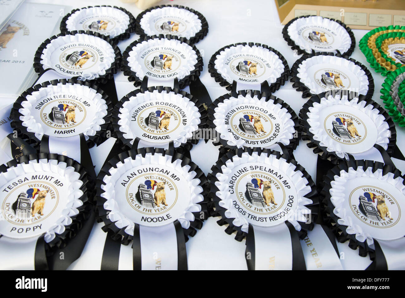 Londres, Reino Unido. Jueves 10 de octubre de 2013. Los parlamentarios y sus perros compitiendo en el Westminster Perro del Año la competencia celebra el vínculo único entre el hombre y el perro - y tiene como objetivo promover la posesión responsable de perros. Crédito: Michael Kemp/Alamy Live News Foto de stock