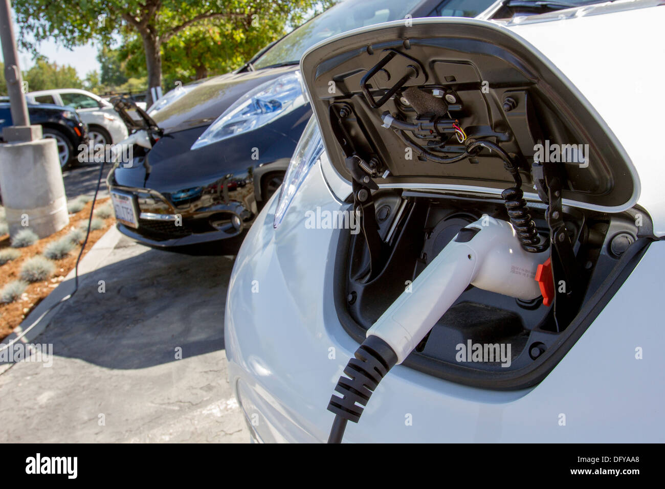 Plug-in electric cars con conectores enchufados en una estación de carga para recargar sus baterías en un estacionamiento de la empresa Foto de stock