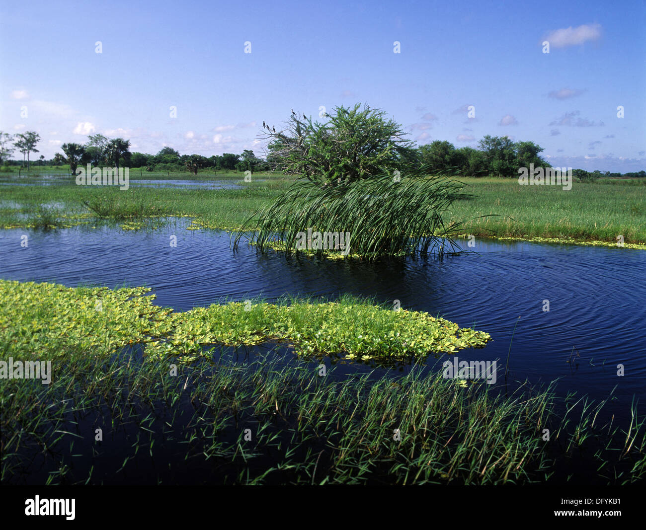 Centla fotografías e imágenes de alta