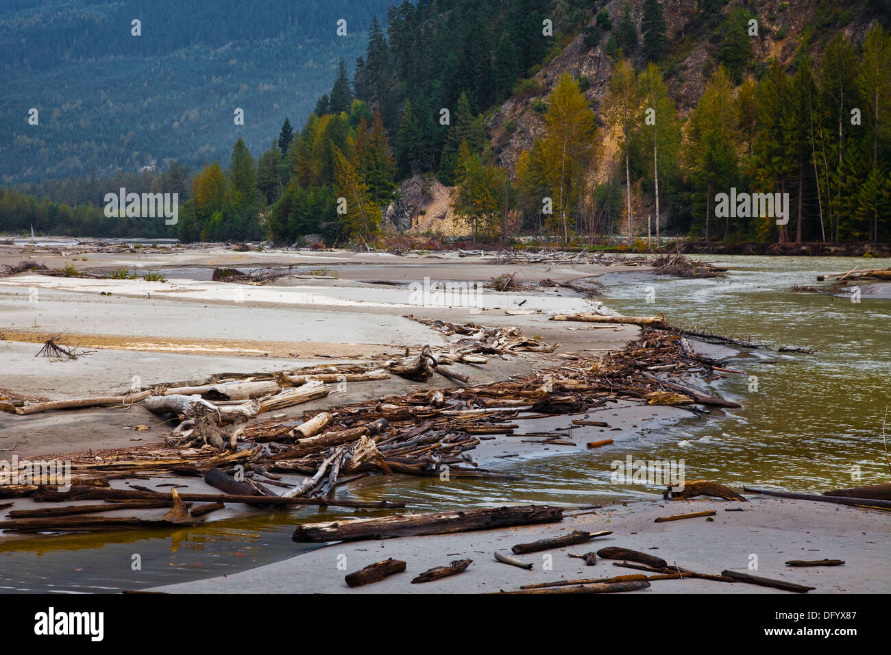 En la llanura de inundación del río Lillooet en el valle de Pemberton, B.C., Canadá Foto de stock