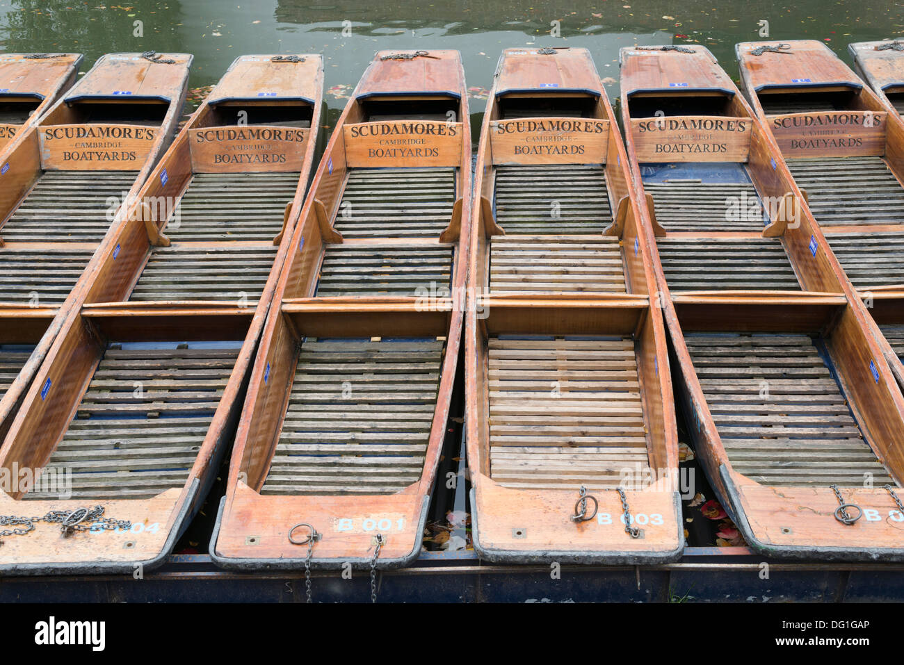 Punts amarrado a los boatyards Scudamore, Quayside, Cambridge, Reino Unido Foto de stock