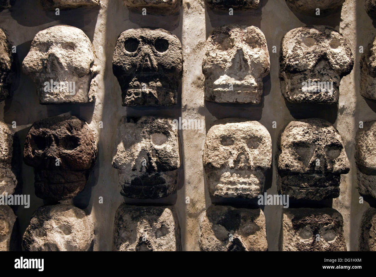 Cráneos de piedra prehispánica en el Museo del Templo Mayor, Ciudad de  México Fotografía de stock - Alamy