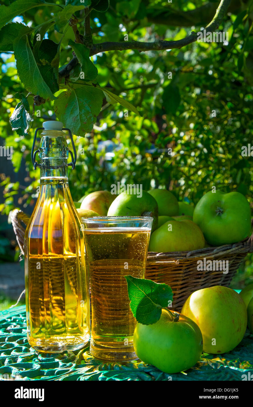 Jardín bodegón con vaso de sidra, botella de sidra y sidra haciendo manzanas. Foto de stock