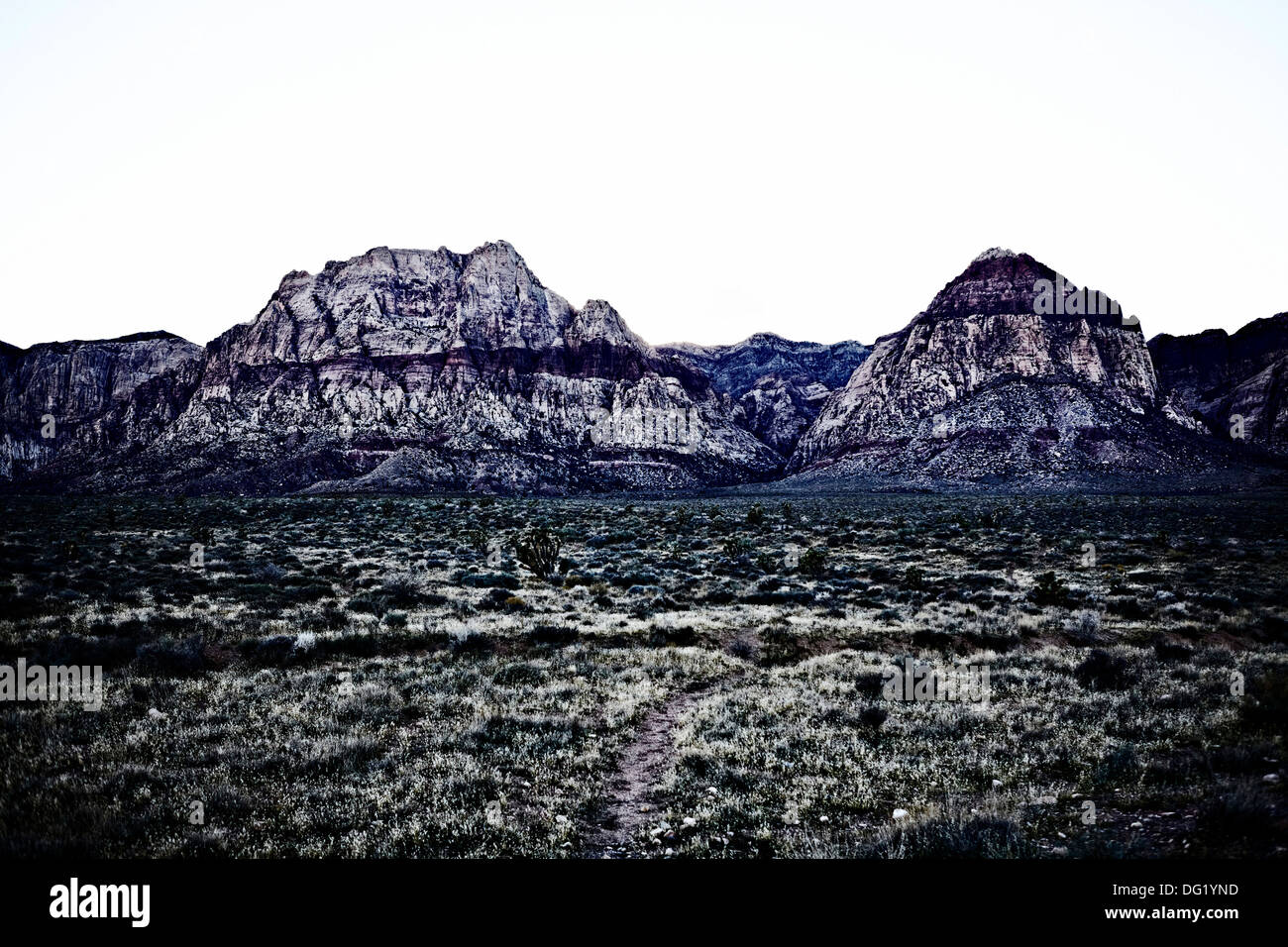 Desierto paisaje con montañas en el fondo, el Parque Nacional Rocas Rojas, Nevada, EE.UU. Foto de stock
