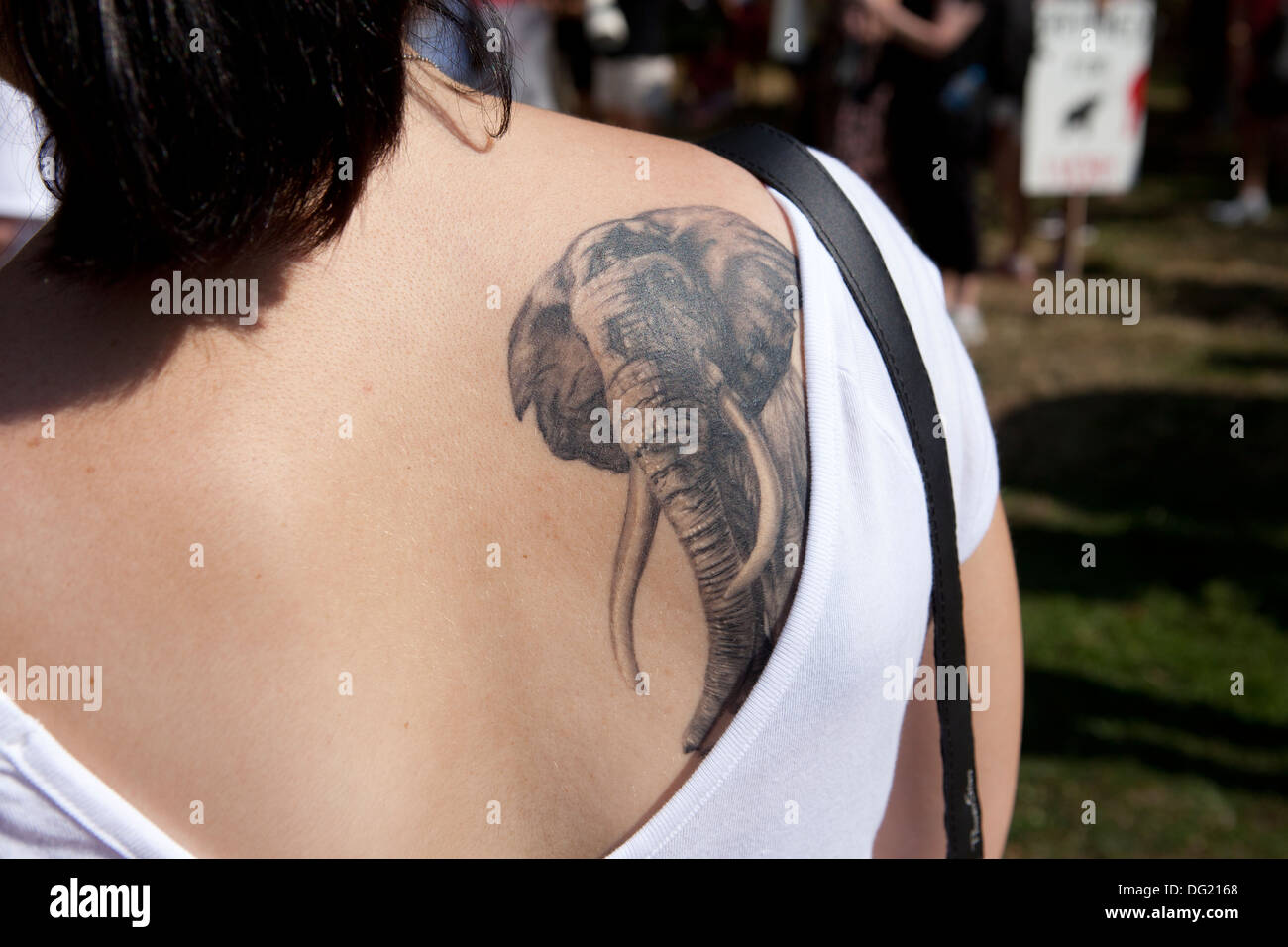 Tatuaje elefante fotografías e imágenes de alta resolución - Alamy