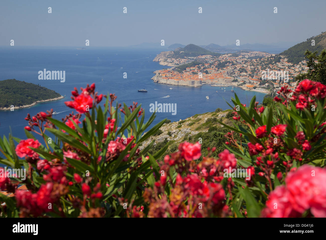 Vista desde arriba del casco antiguo de la ciudad, declarado Patrimonio de la Humanidad por la UNESCO, Dubrovnik, Costa Dálmata, Dalmacia, Croacia, Europa Foto de stock