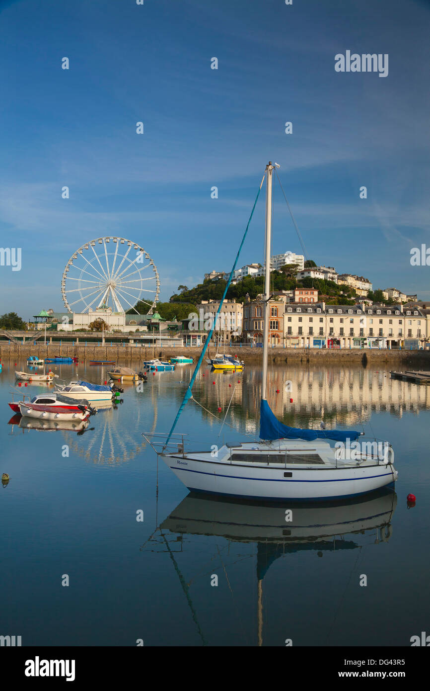 Puerto de Torquay, Devon, Inglaterra, Reino Unido, Europa Foto de stock