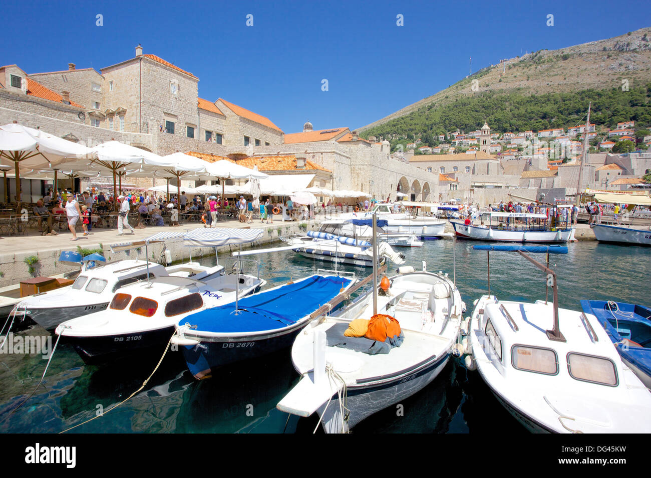 Puerto y barcos, Dubrovnik, Dalmacia, Croacia, Europa Foto de stock