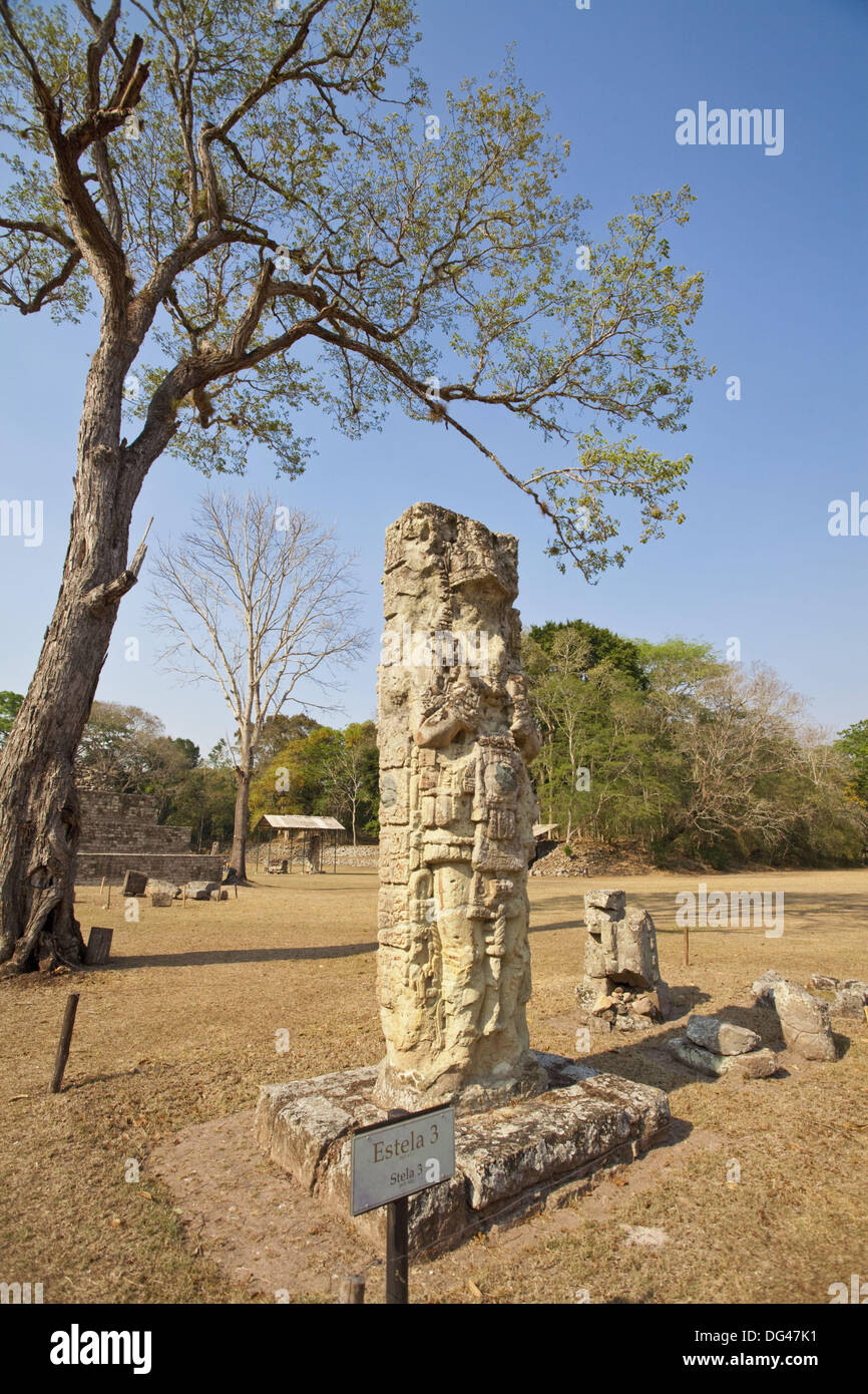 La estela 3 de la Gran Plaza, las ruinas mayas de Copán, Las Ruinas de