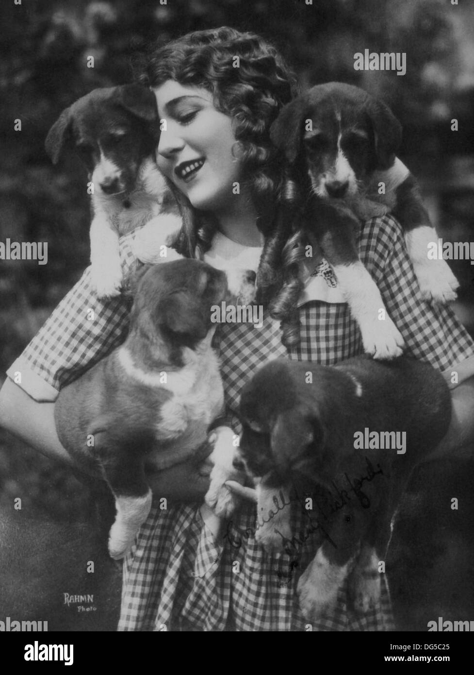 La actriz Mary Pickford con cuatro cachorros, Circa 1910's Foto de stock