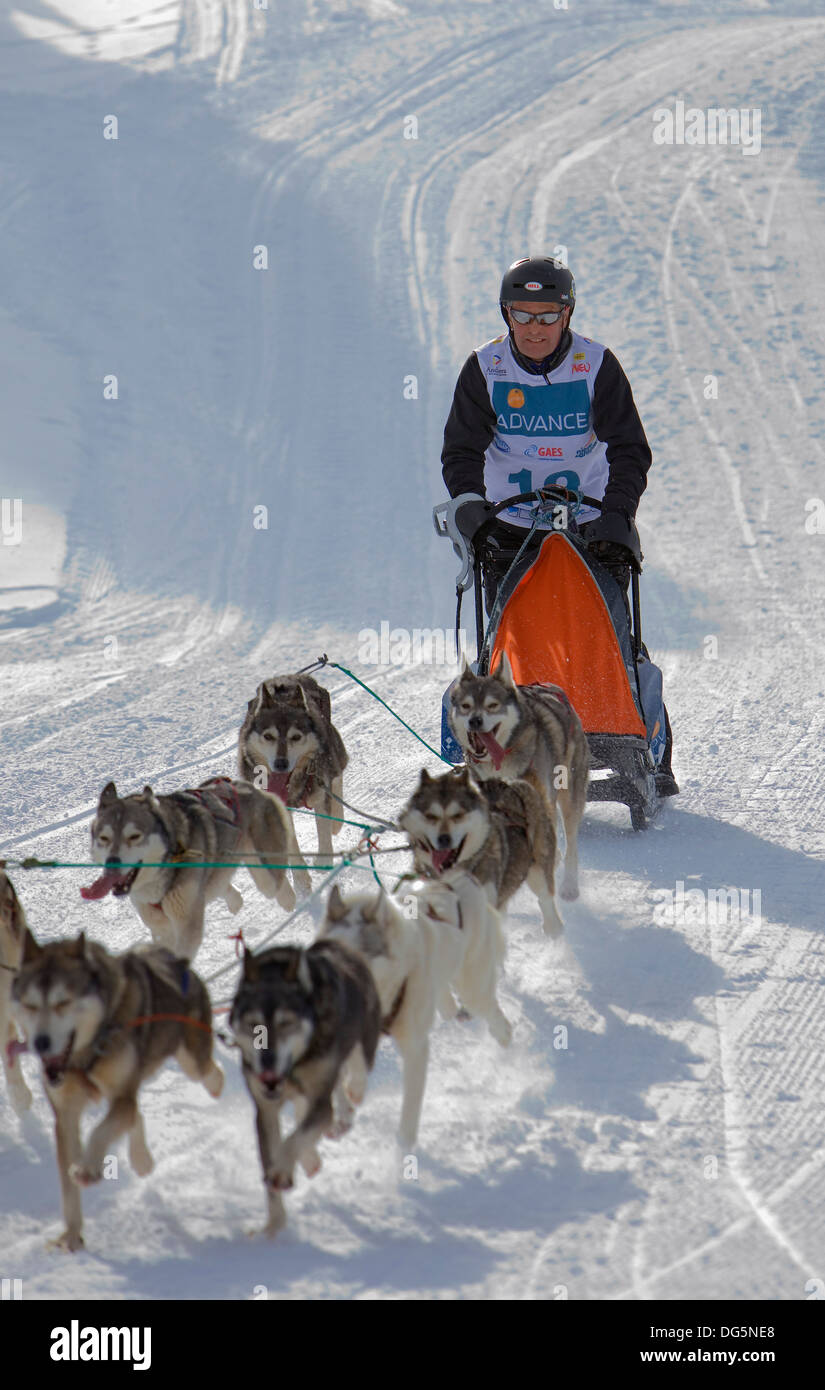 Pirena. Carrera de perros de trineo en los Pirineos pasando por España,  Andorra y Francia. Baqueira Beret. Provincia de Lleida. Cataluña. España  Fotografía de stock - Alamy