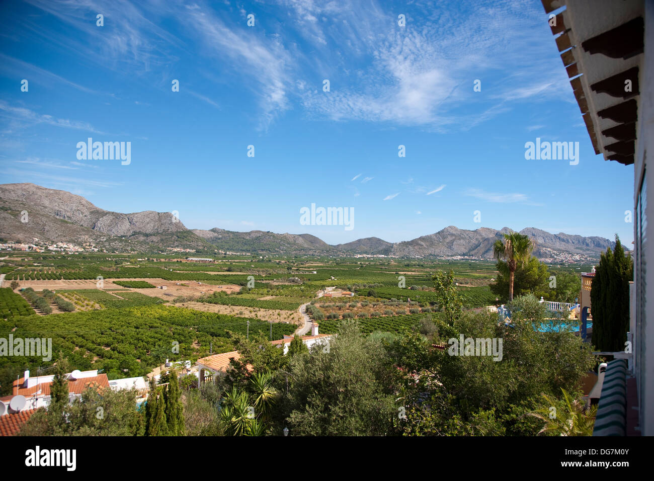 Naranja y plantaciones de olivos en la región oriental de España. Foto de stock
