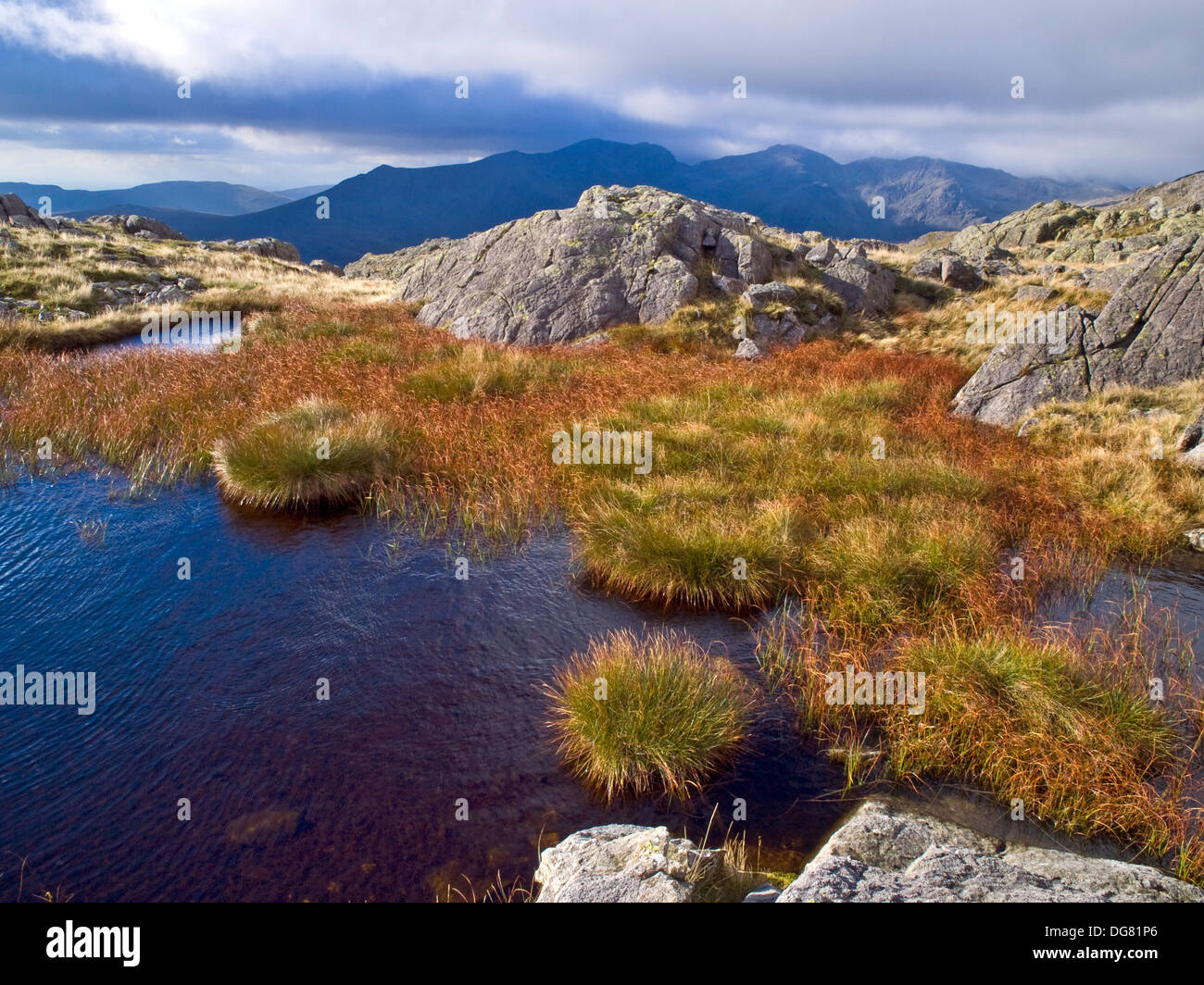 El Scafell oscilan entre riscos ondulada, Lake District National Park, REINO UNIDO Foto de stock