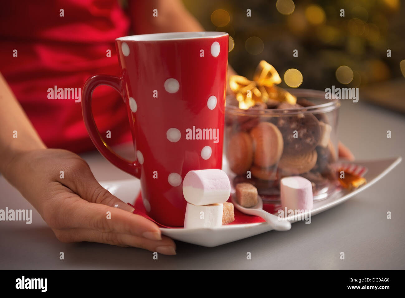 Closeup en placa con galletas de Navidad y la taza de chocolate caliente con malvavisco Foto de stock