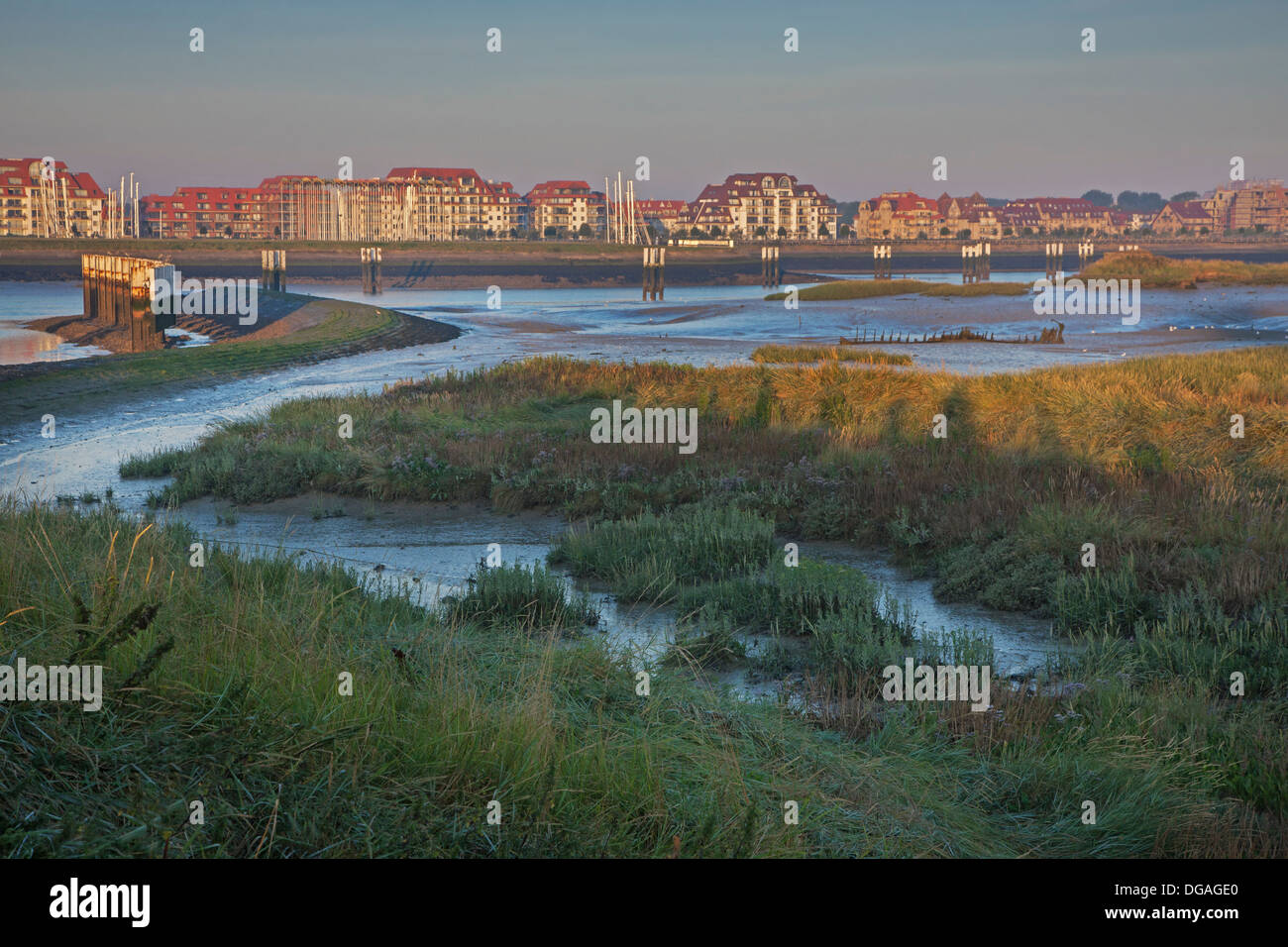 Salt Marsh y marismas en la reserva natural de IJzermonding en Nieuwpoort / Nieuport a lo largo de la costa del Mar del Norte, Bélgica Foto de stock