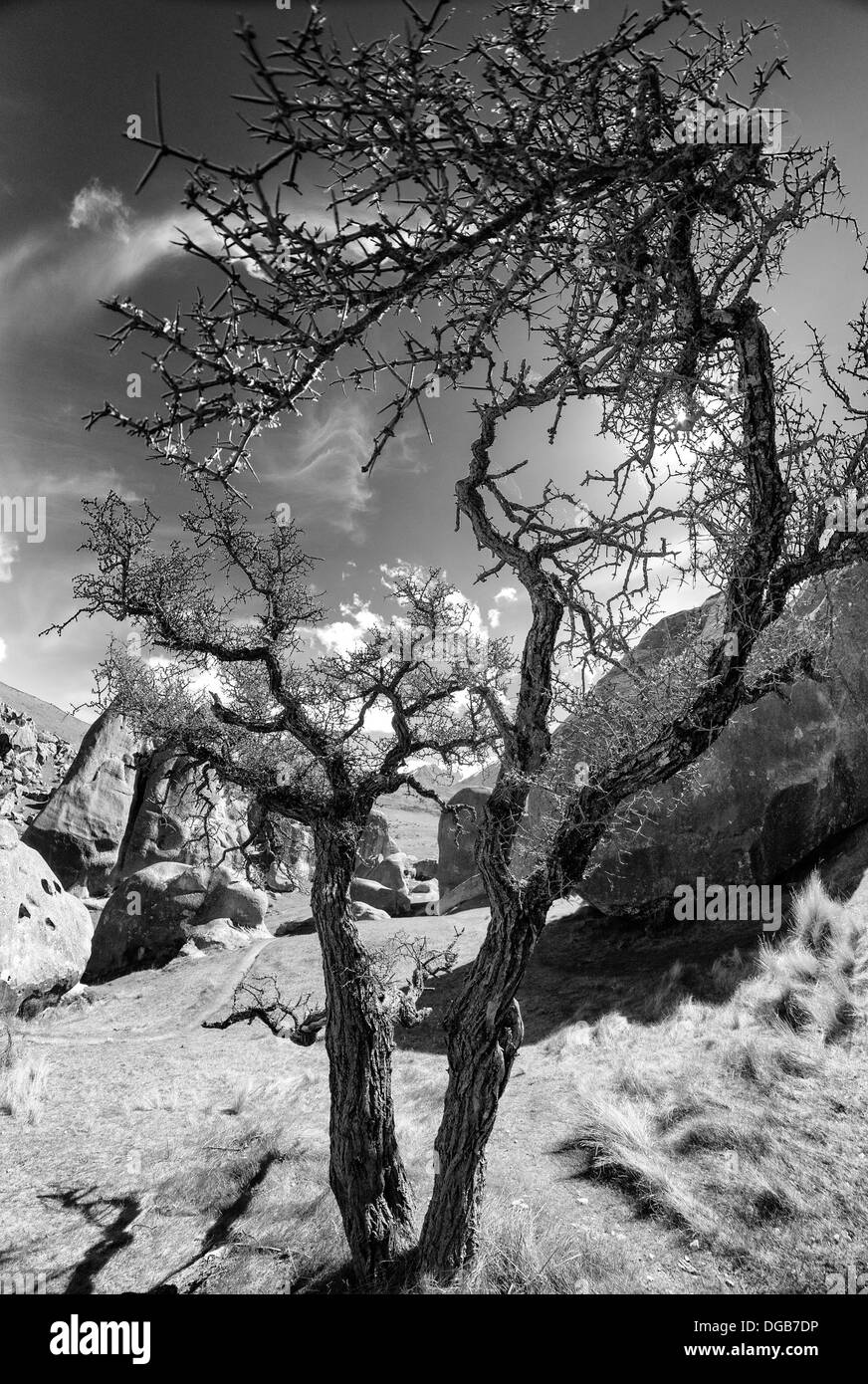 La colina del castillo, Isla del Sur, Nueva Zelanda. En 2002 fue nombrado "Centro espiritual del Universo' por el Dalai Lama. Foto de stock