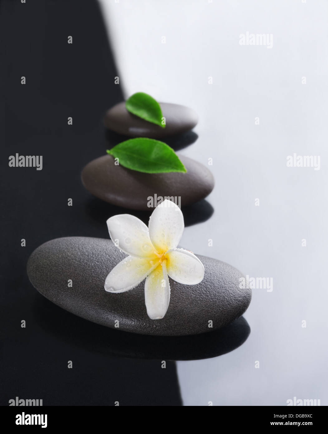 Concepto spa zen piedras con flores de frangipani Foto de stock