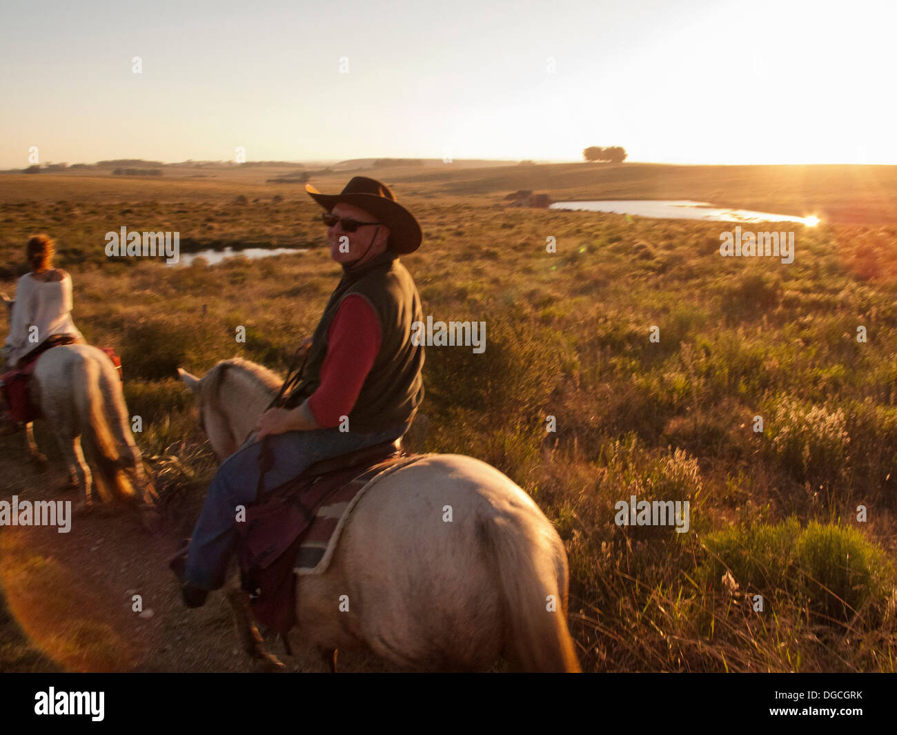 Hombre Senior montando un caballo Criollo, Uruguay Foto de stock