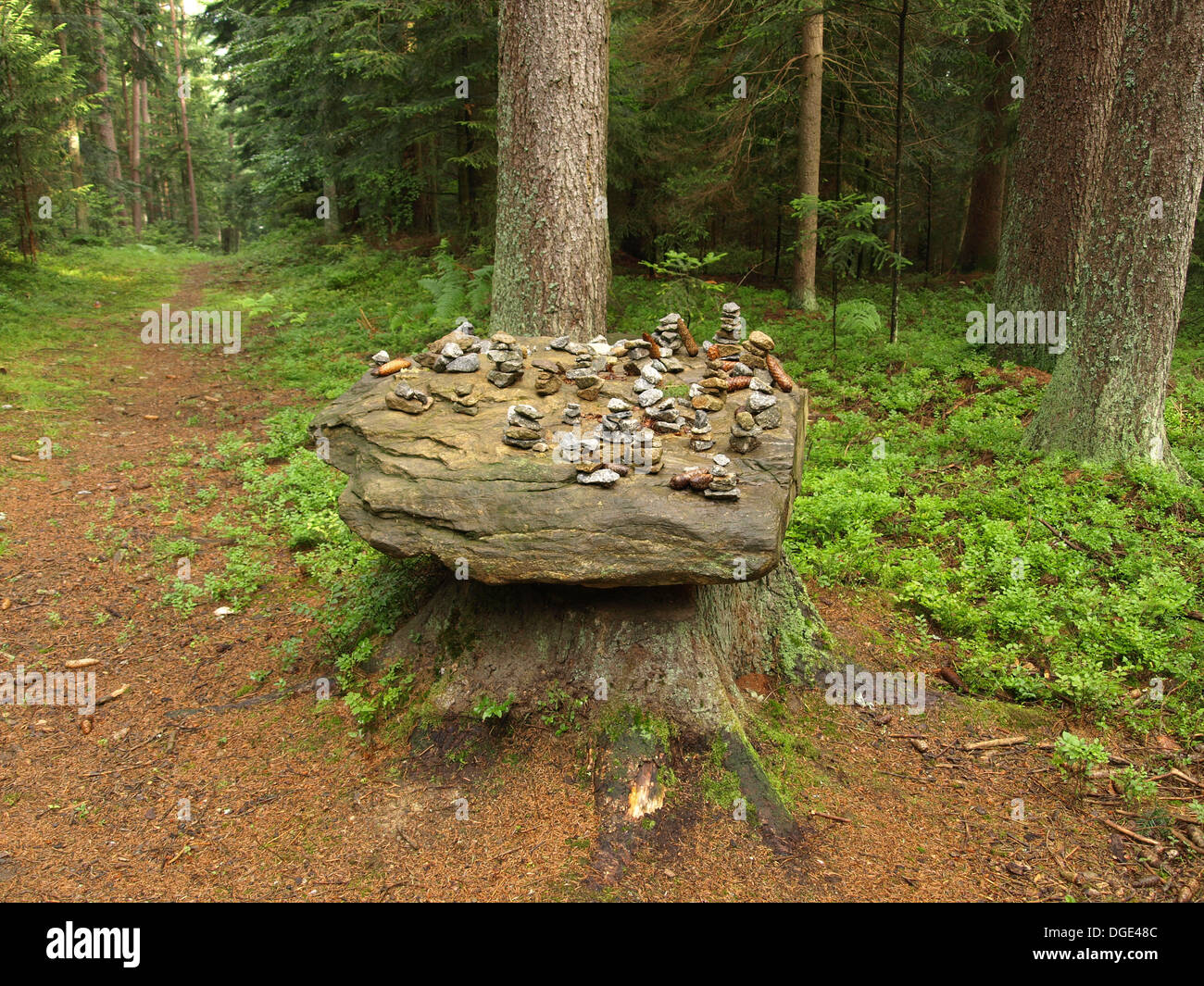 mesa de piedra en una madera Foto de stock