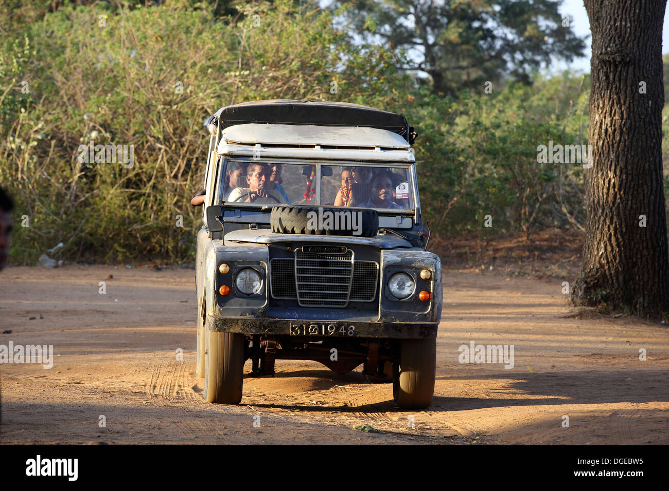 Safari Jeep con turistas a bordo en el Parque Nacional de Yala, Sri Lanka Foto de stock