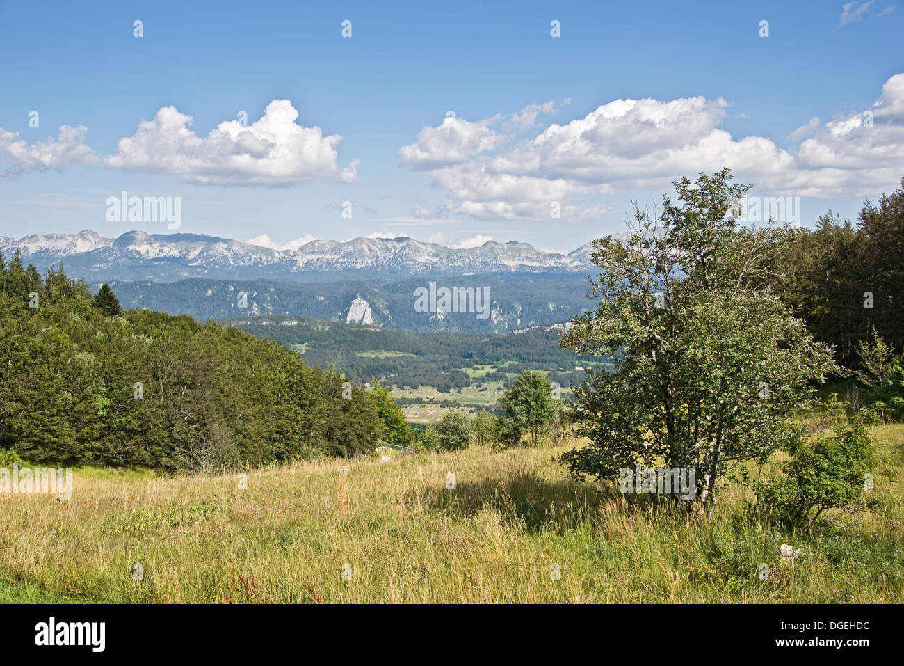 El paisaje del Parque Natural Regional de Vercors - Rhône-Alpes, Francia Foto de stock