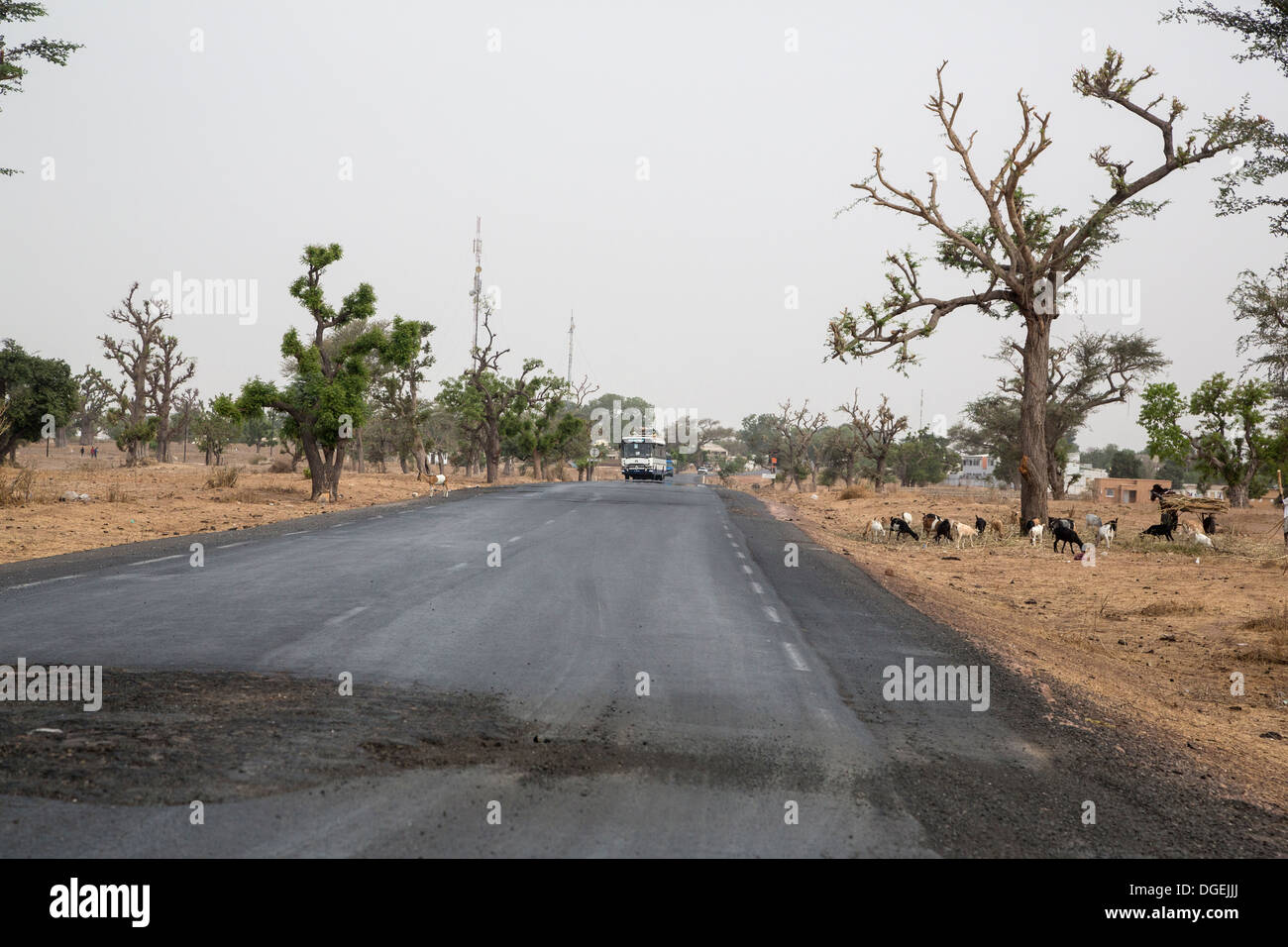 Deterioro de la superficie de la carretera en la carretera pavimentada, cerca Koalack, Senegal. Dos torres de retransmisión telefónica de centro izquierda. Foto de stock