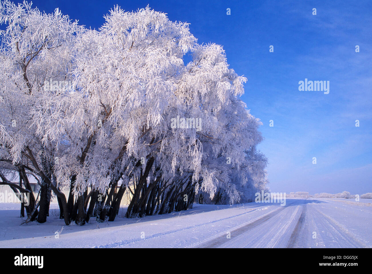 Nueva bothwell manitoba fotografías e imágenes de alta resolución Alamy
