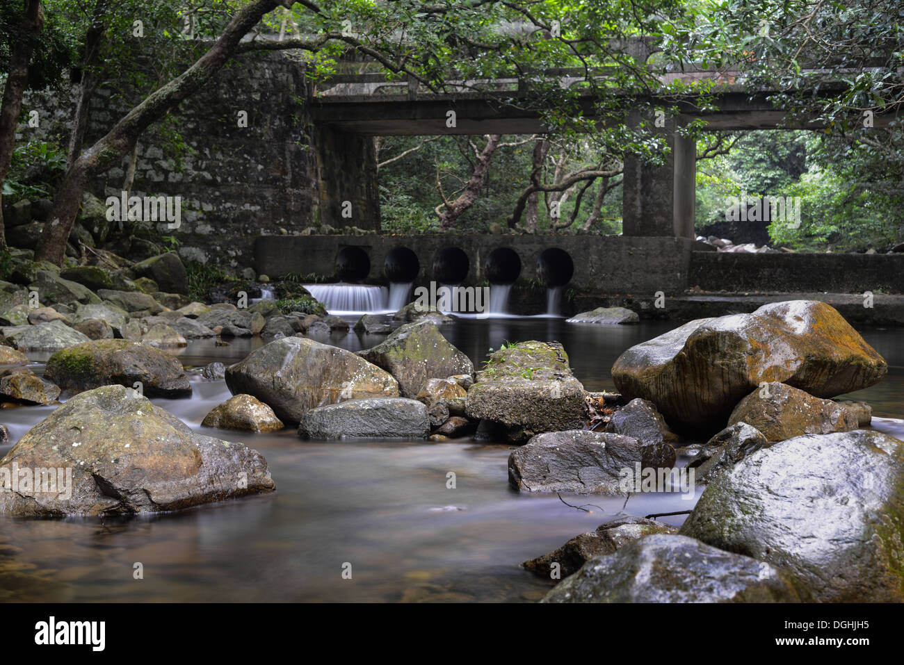 Riachuelo y el puente de piedra en depósito Shing Mun, Hong Kong Foto de stock