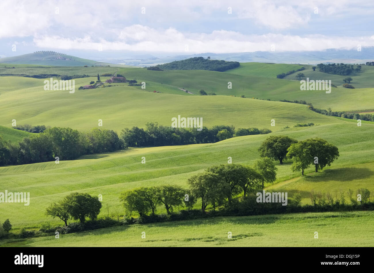 Toskana Huegel - Toscana hills 60 Foto de stock
