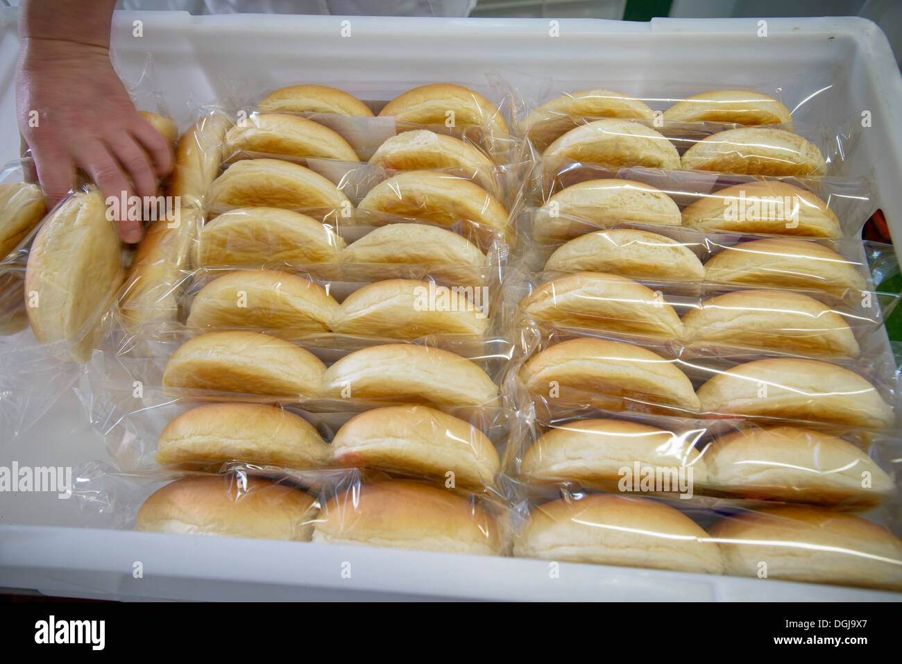 Los bollos de pan embalados y dispuestos en la casilla Foto de stock